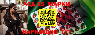 стаф Малоярославец