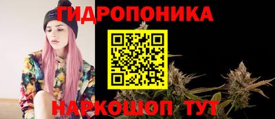 стаф Малоярославец
